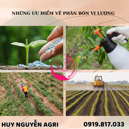 PHÂN BÓN VI LƯỢNG