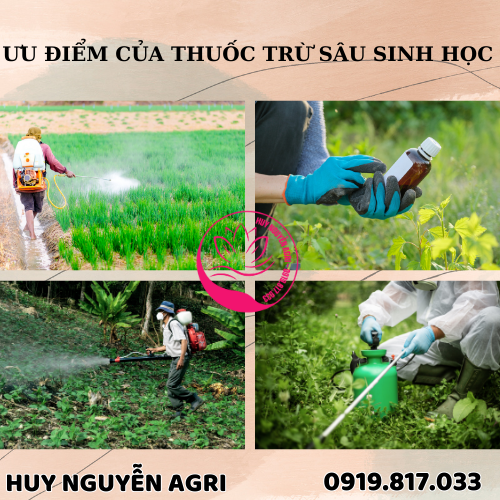 Ưu điểm của thuốc sâu sinh học