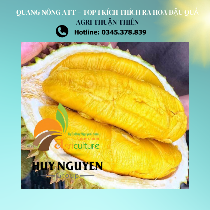 QUANG NONG 3 1