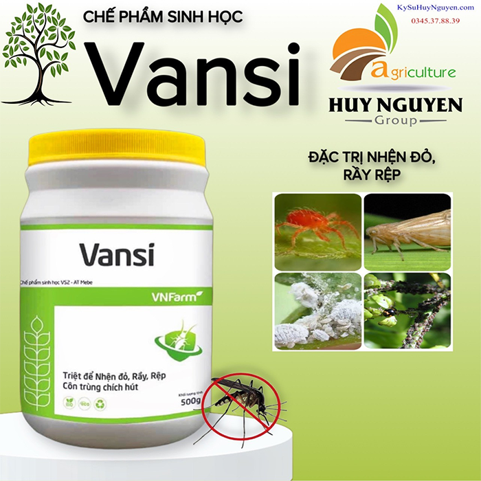 VANSI 