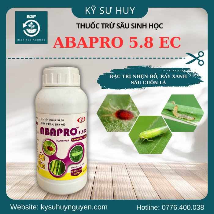 ABAPRO 5.8 EC