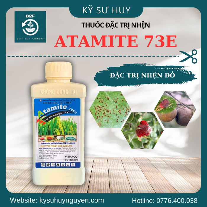 ATAMITE 73EC