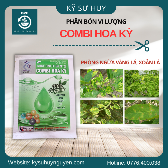 COMBI HOA KỲ