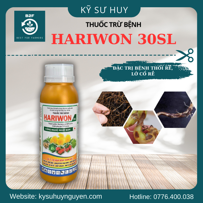 HARIWON 30SL