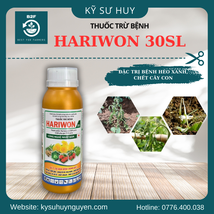 HARIWON 30SL