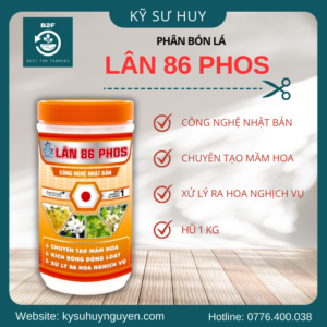 LÂN 86 PHOS