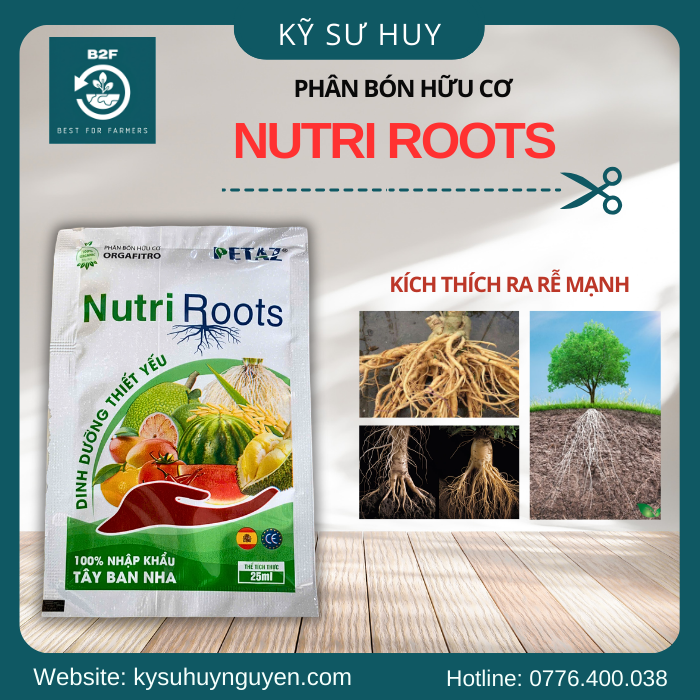 NUTRI ROOTS