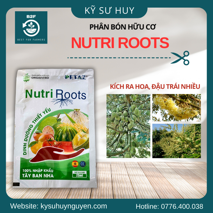 NUTRI ROOTS