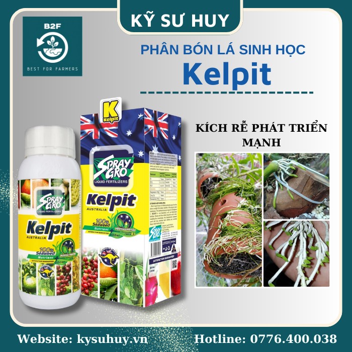 KELPIT