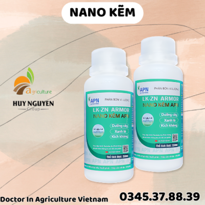 NANO KẼM