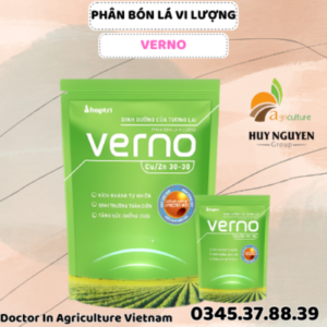 VERNO