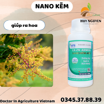 NANO KẼM