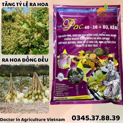 PAC 40-30+BO KẼM 