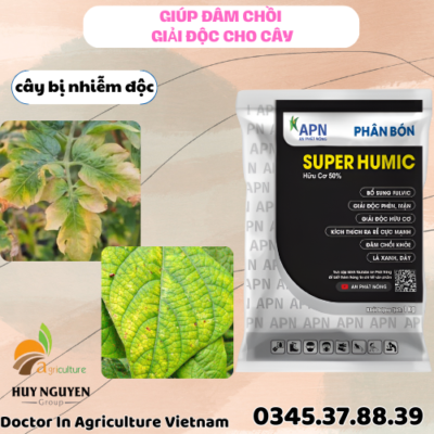 SUPER HUMIC