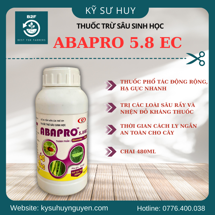 ABAPRO 5.8 EC