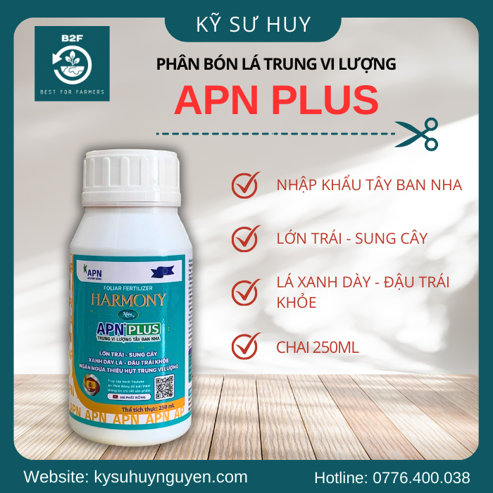 APN PLUS