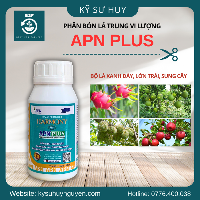 APN PLUS