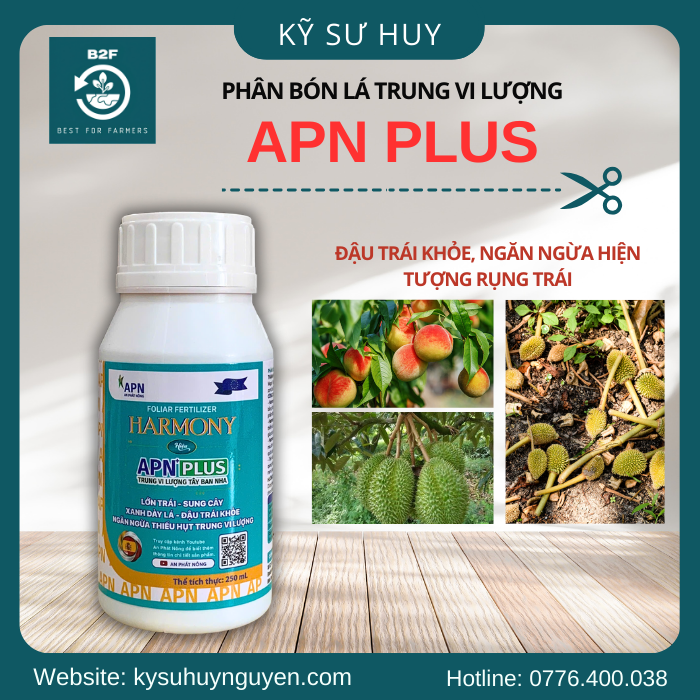 APN PLUS