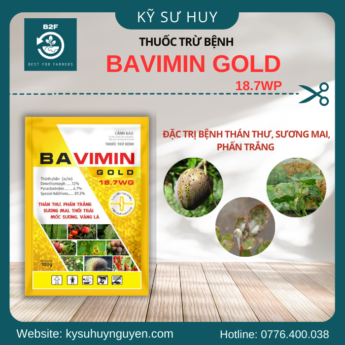 BAVIMIN GOLD 18.7WG