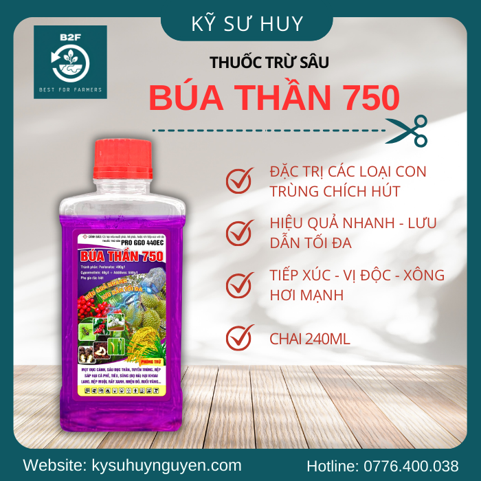 BÚA THẦN 750