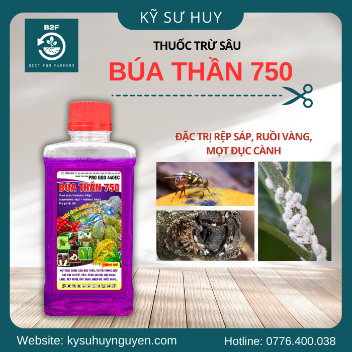 BÚA THẦN 750