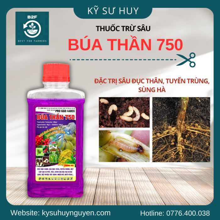 BÚA THẦN 750