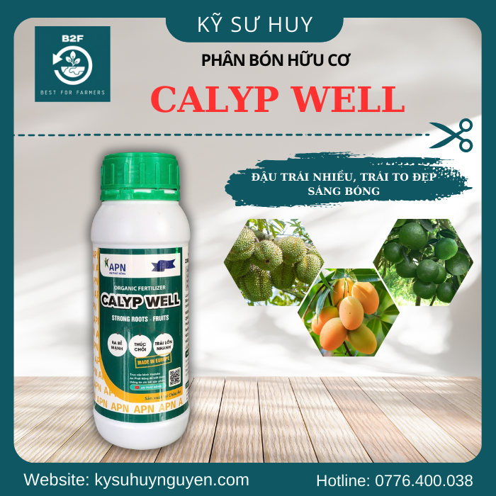 CALYP WELL