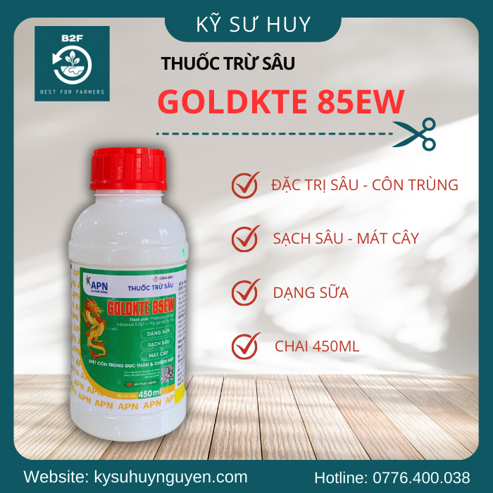 GOLDKTE 85EW 