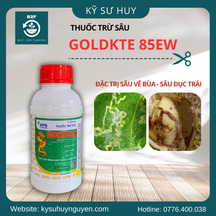 GOLDKTE 85EW