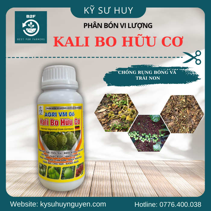 KALI BO HỮU CƠ