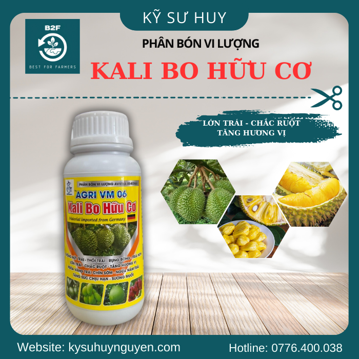 KALI BO HỮU CƠ