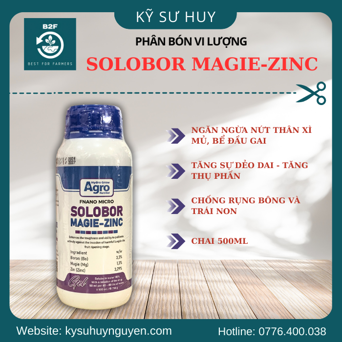 SOLOBOR MAGIE-ZINC