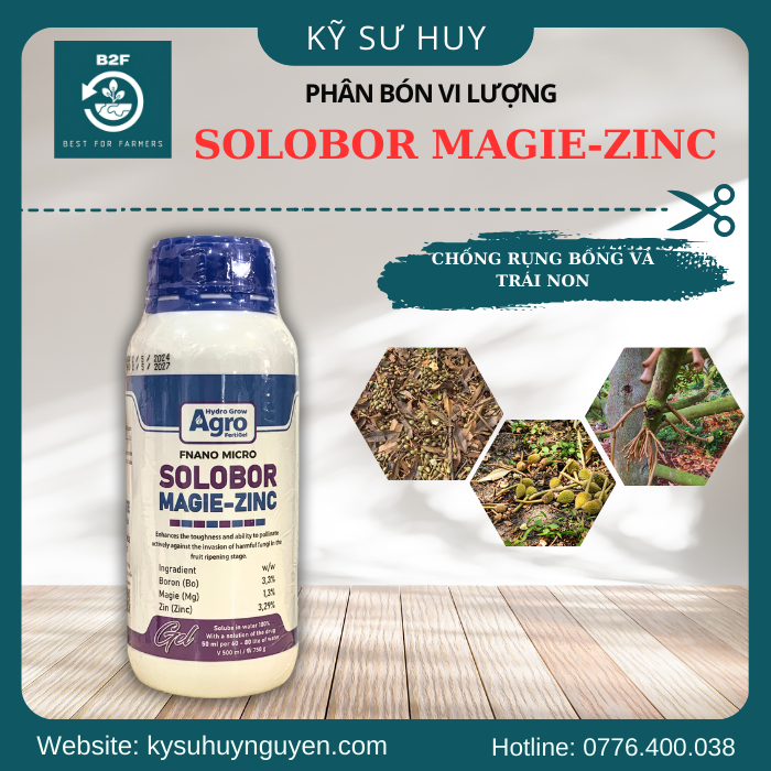 SOLOBOR MAGIE-ZINC