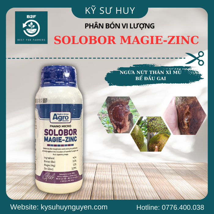 SOLOBOR MAGIE-ZINC