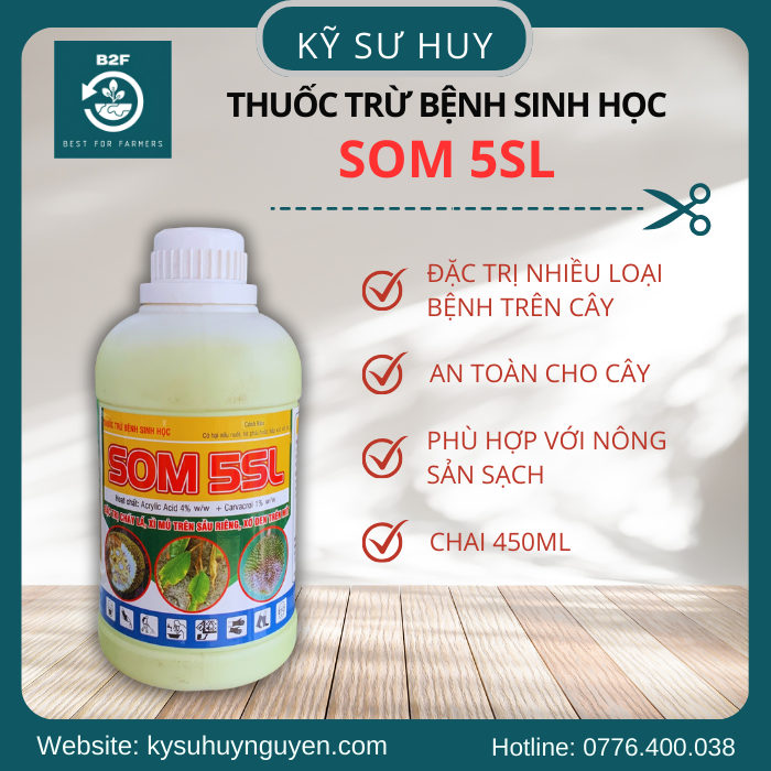 SOM 5SL