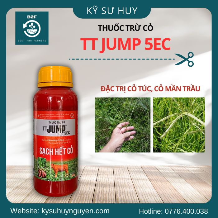 TT JUMP 5EC