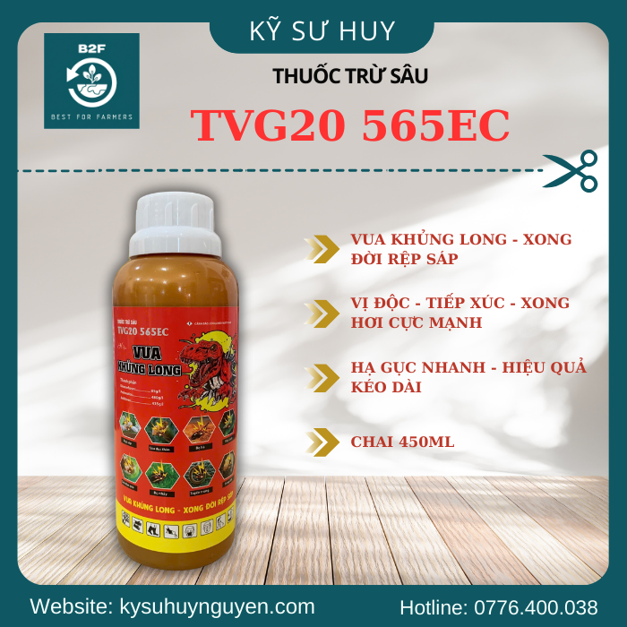 TVG20 565EC 