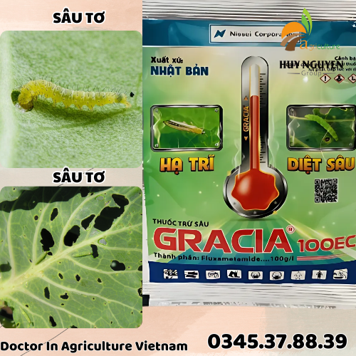 GRACIA 100EC