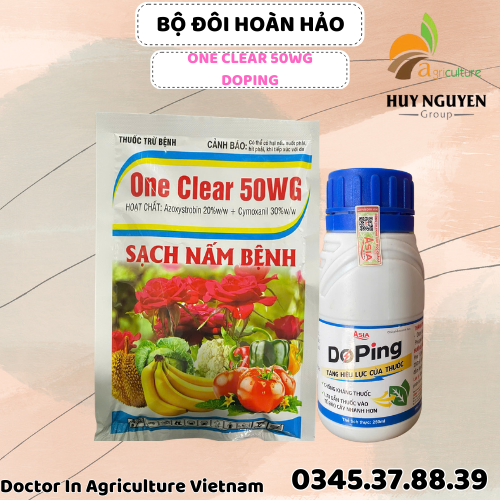 NẤM MỐC TRẮNG