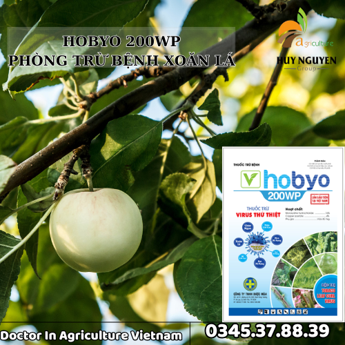 HOBYO 200WP TRỊ XOĂN LÁ