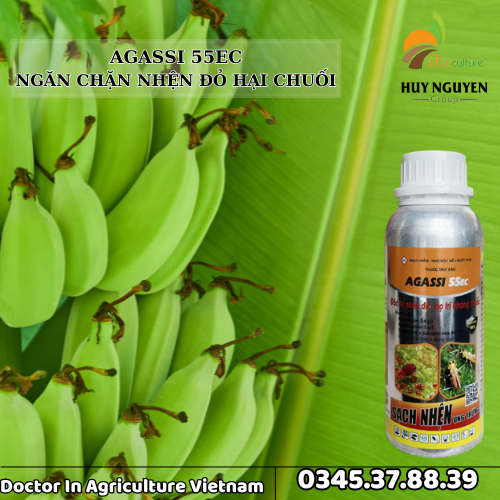 AGASSI 55EC TRỊ NHỆN ĐỎ 