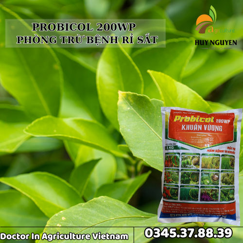 PROBICOL 200WP TRỪ BỆNH