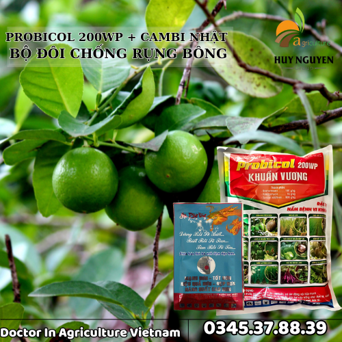 PROBICOL 200WP + CAMBI NHẬT