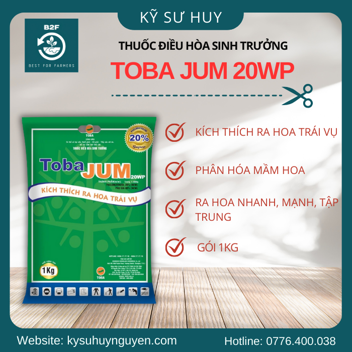 TOBA JUM 20WP