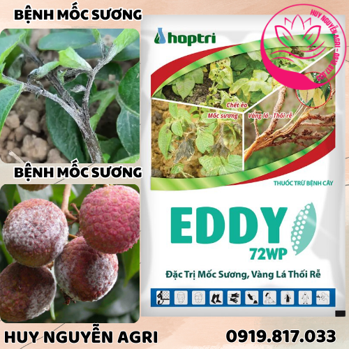 EDDY 72WP