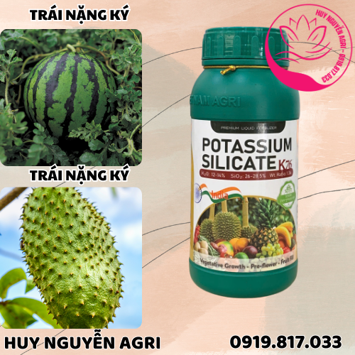 POTASSIUM SILICATE