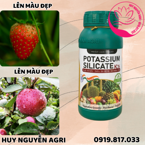 POTASSIUM SILICATE