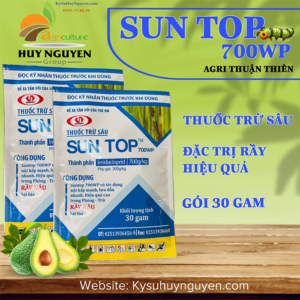 SUNTOP 700WP ATT - KYSUHUYNGUYEN.COM