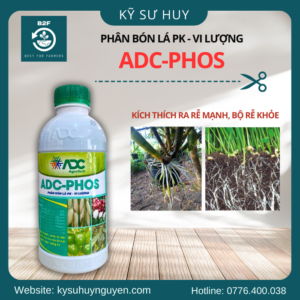 ADC PHOS 2