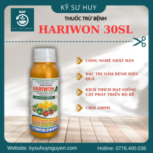 HARIWON 30SL